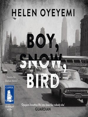 cover image of Boy, Snow, Bird